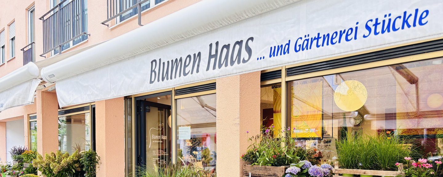 Blumen Haas