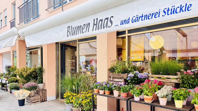 Blumen Haas