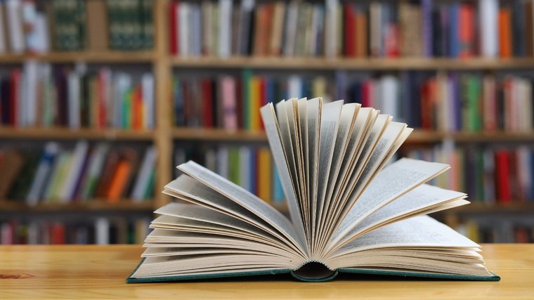 Bücher bei Held