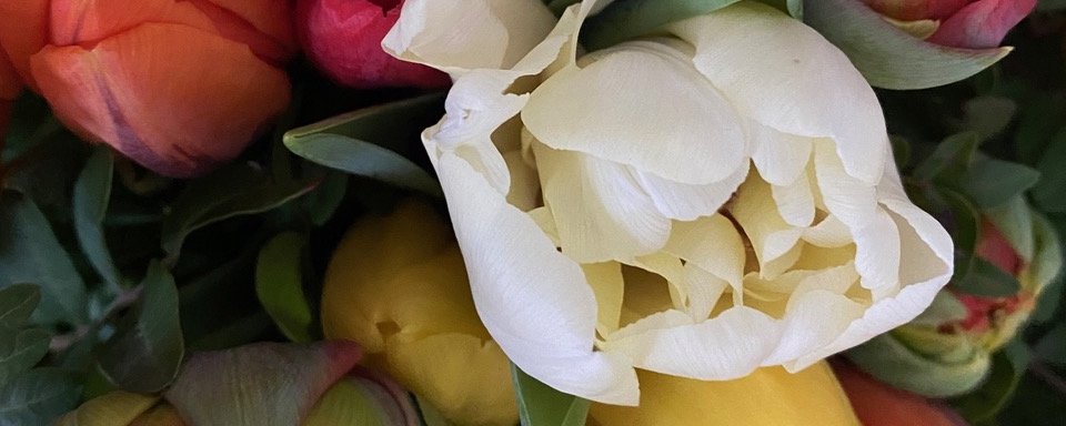 Blumencafé Le Fleur