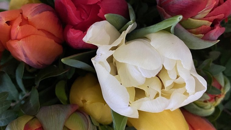 Blumencafé Le Fleur